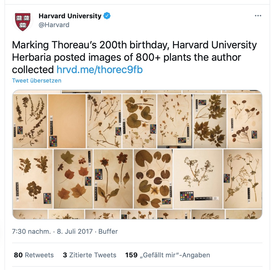 Lo sentimos, New Yorker, pero Thoreau es más relevante que nunca Federación Anarquista 🏴