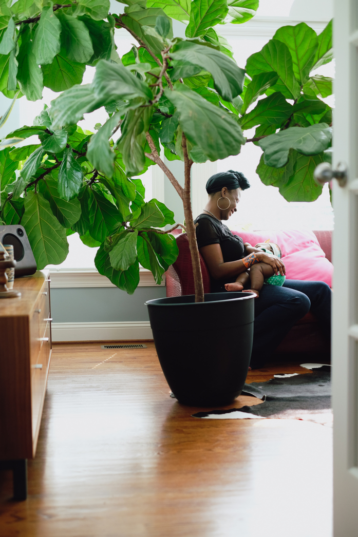 On the Hunt for a Really Big Garden Pot to Repot My Fiddle Leaf Fig