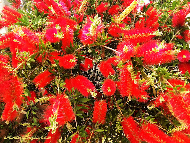 O lado mais verdadeiro de mim... / The truest side of me... Tu... és o lado mais verdadeiro de mim... / You... are the truest side of me...