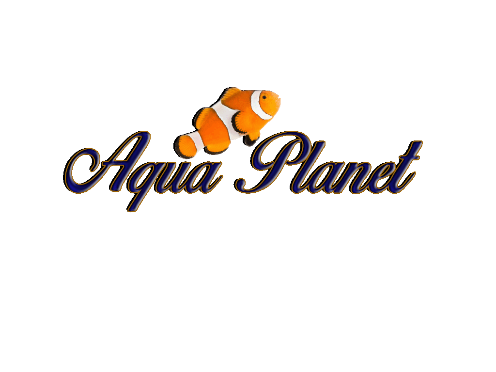 aqua planet 