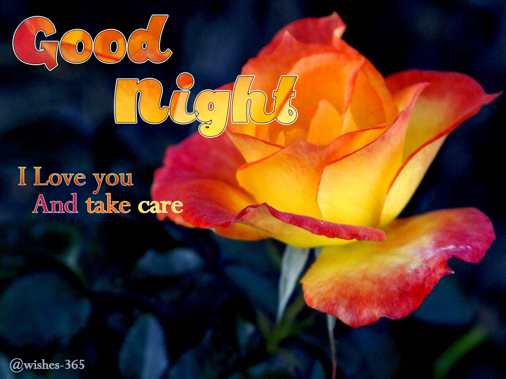 There are beautiful good night images for lovers you can download for