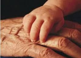 images%2B%25286%2529