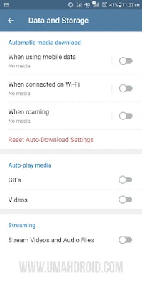 Pengaturan Download Otomatis Telegram