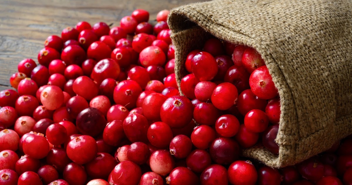 Bounce That Cranberry Healthy For Us All