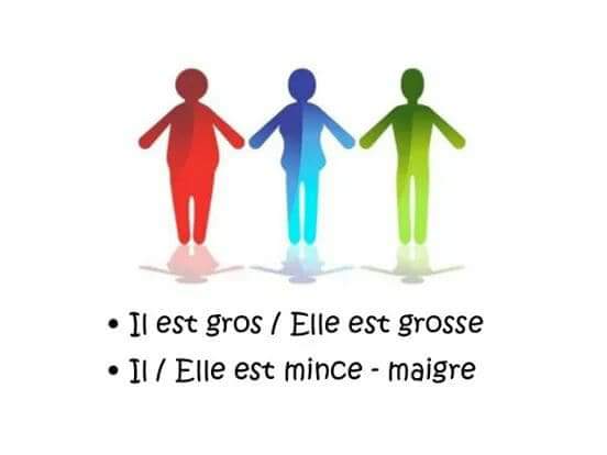 ملخصات لغة فرنسية تعابير في وصف شخص la description d'une personne ملخصات لغة فرنسية تعابير في وصف شخص la description d'une personne