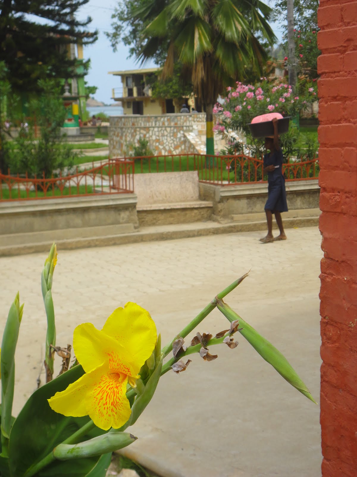 Tim White Listens A day in the life road trip to Anse d'Hainault