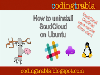 Uninstall ScudCloud on Ubuntu