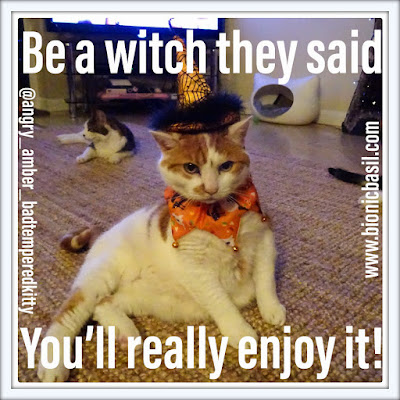 Friday Fluffers at BBHQ ©BionicBasil® Amber Be A Witch They Said