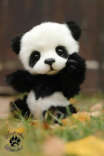 Gambar Panda Keren