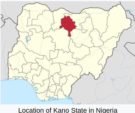 Avian Flu Diary: Reports Of `Mysterious Deaths' In Kano State, Nigeria