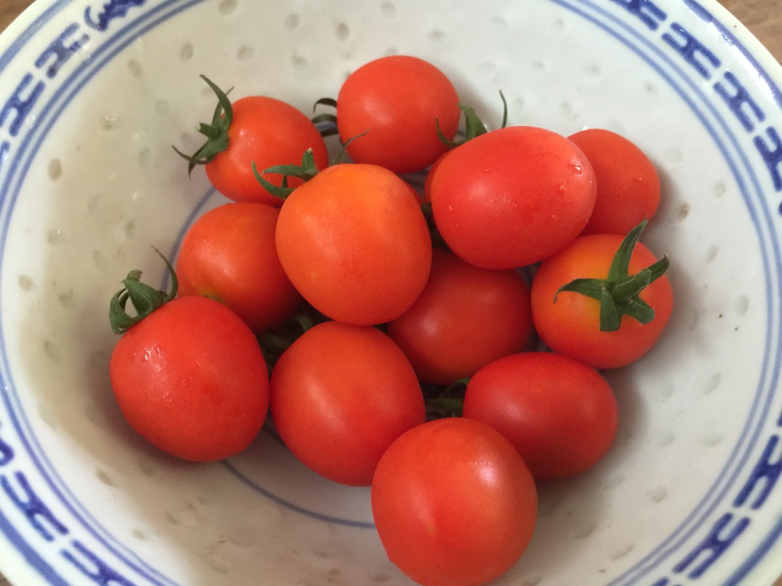 PetuniaLee™ First Harvest Cherry Tomatoes