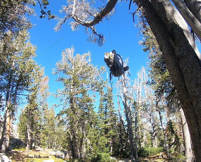 Backpacking to the Dinwoody Lakes, Wind Rivers, Backpacking the Glacier Trail Wind Rivers