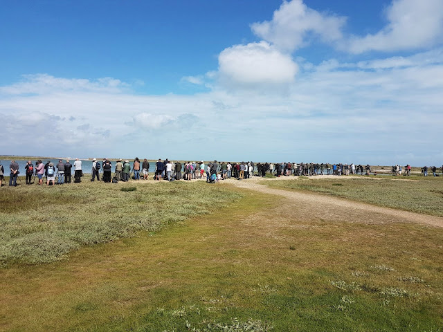 Pagham Harbour, West Sussex Pagham Harbour, West Sussex