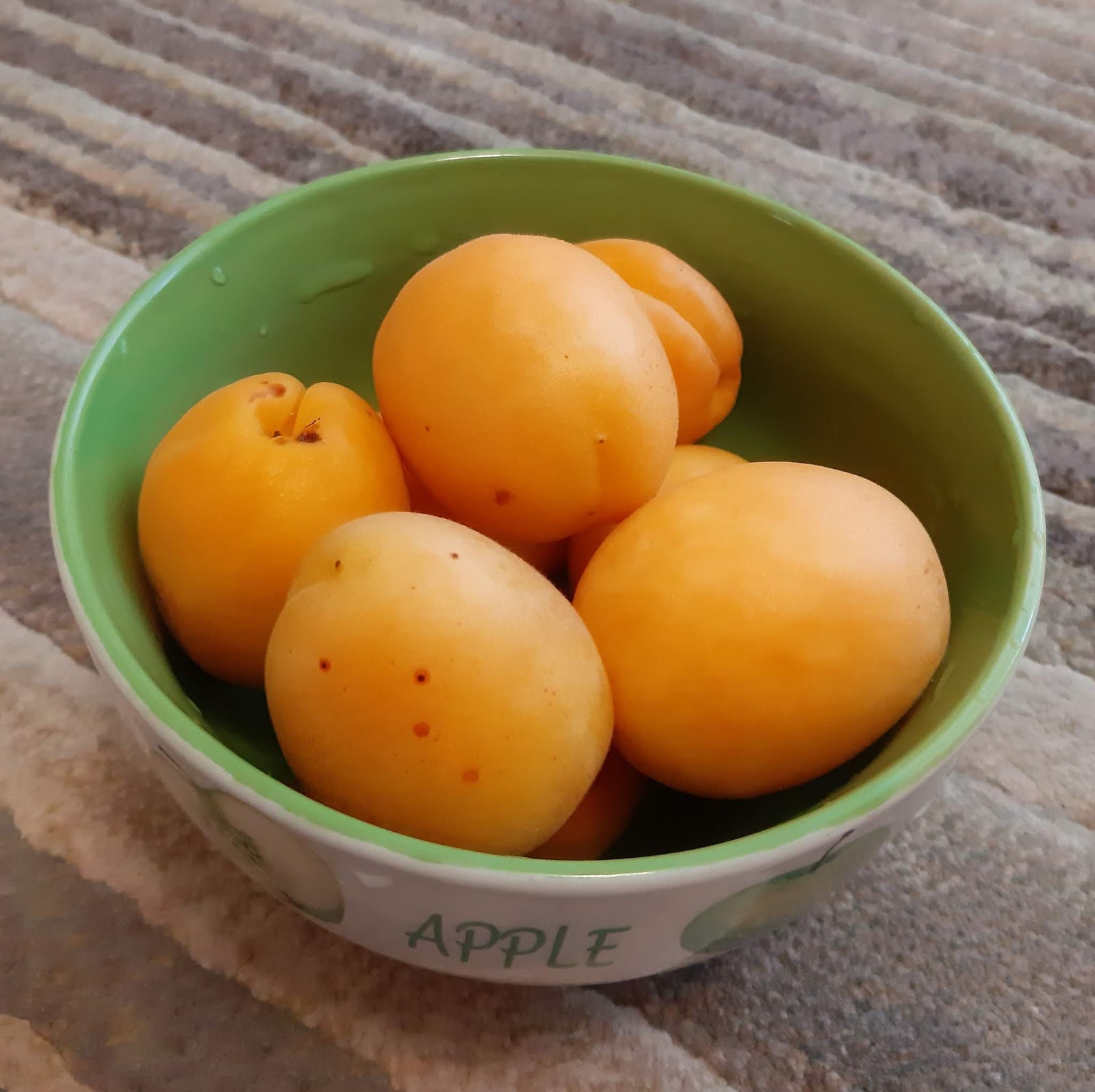 Абрикос биг ред. Абрикос обыкновенный лель. Как называется абрикосов. Супериор сорт абрикоса дерево. Абрикос сорта "арджанабад".