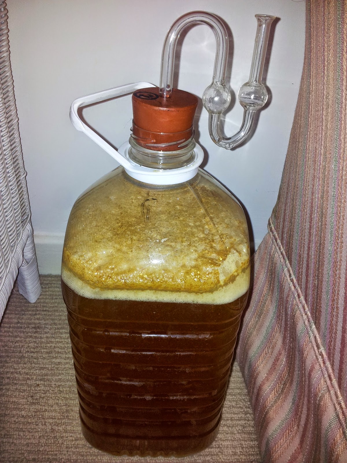 Ed's Beer Site: Brewing an all Brettanomyces beer