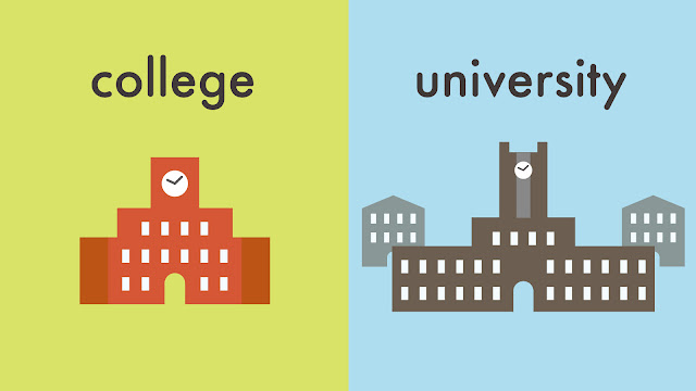 college と university の違い