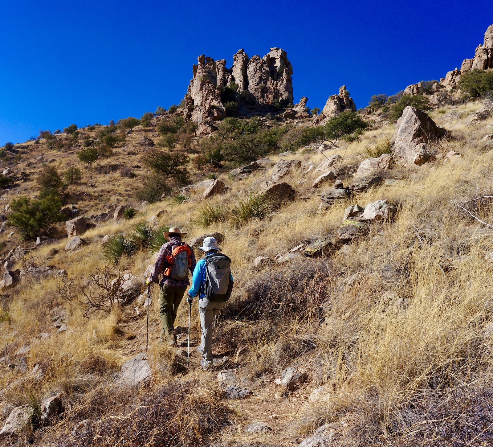 Earthline The American West Thimble Peak, 5,323'; and Thimble East, 5,310', from Hirabayashi