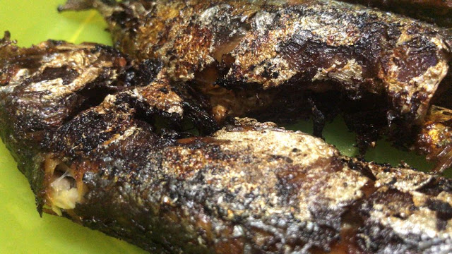 20 Resepi Ikan Mudah Masak Dan Sedap Pasti Memikat Selera Ahli Keluarga