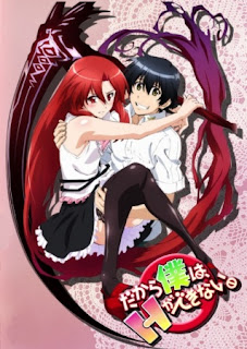 Top 10 Melhores Animes - Ecchi de Ação com Romance - IntoxiAnime
