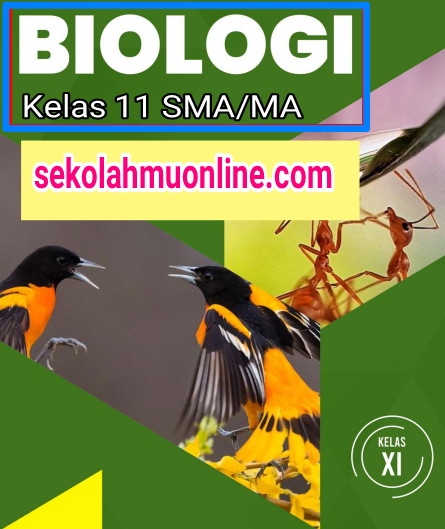 Contoh soal biologi kelas 11 tentang sel