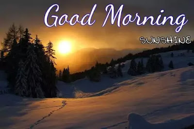 Good Morning Images Good Morning Images
