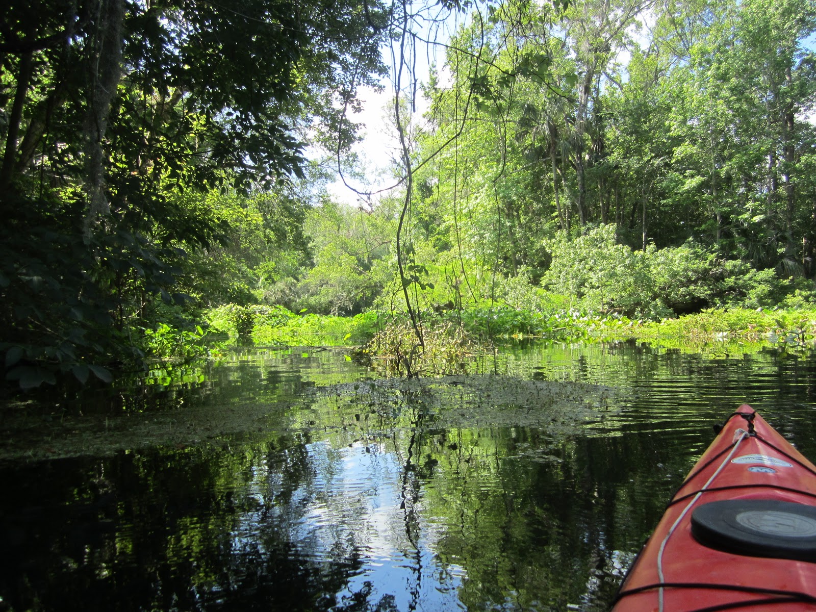 Dave's Yak Tales Wekiva River