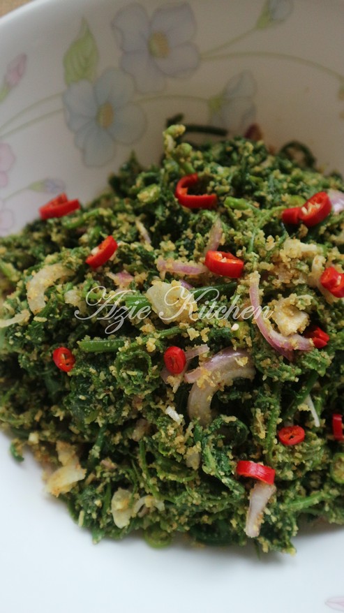 Kerabu Pucuk Paku Mudah Dan Sedap Azie Kitchen