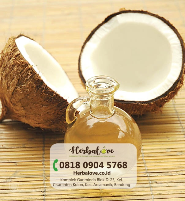 supplier minyak kelapa Gorontalo