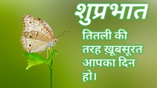 Another butter fly for Good morning images for whatsapp in hindi