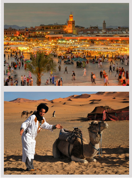 Marrakech Day Trips
