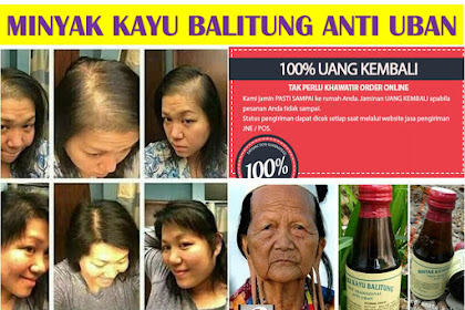 WA 081239099967 Agen Minyak Penghilang Uban Kayu Balitung Asli Di Malang