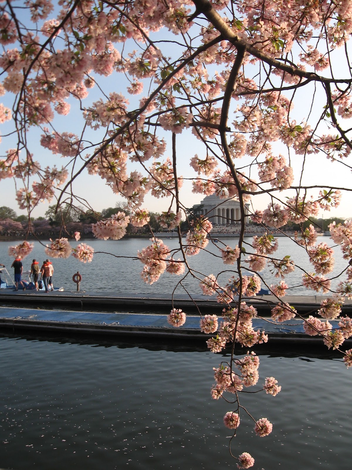 The Finest Muffins and Bagels in All the Land March 2012