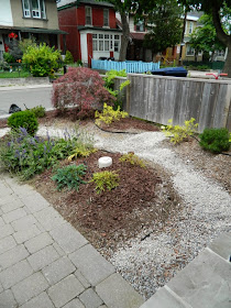 Leslieville garden cleanup front garden after Paul Jung Gardening Services Toronto