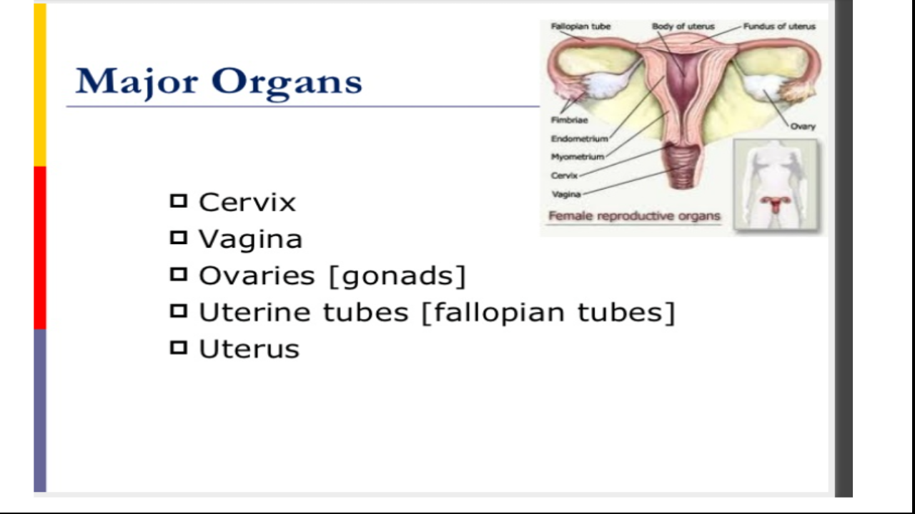 VIII, Science, Reproduction in Animals