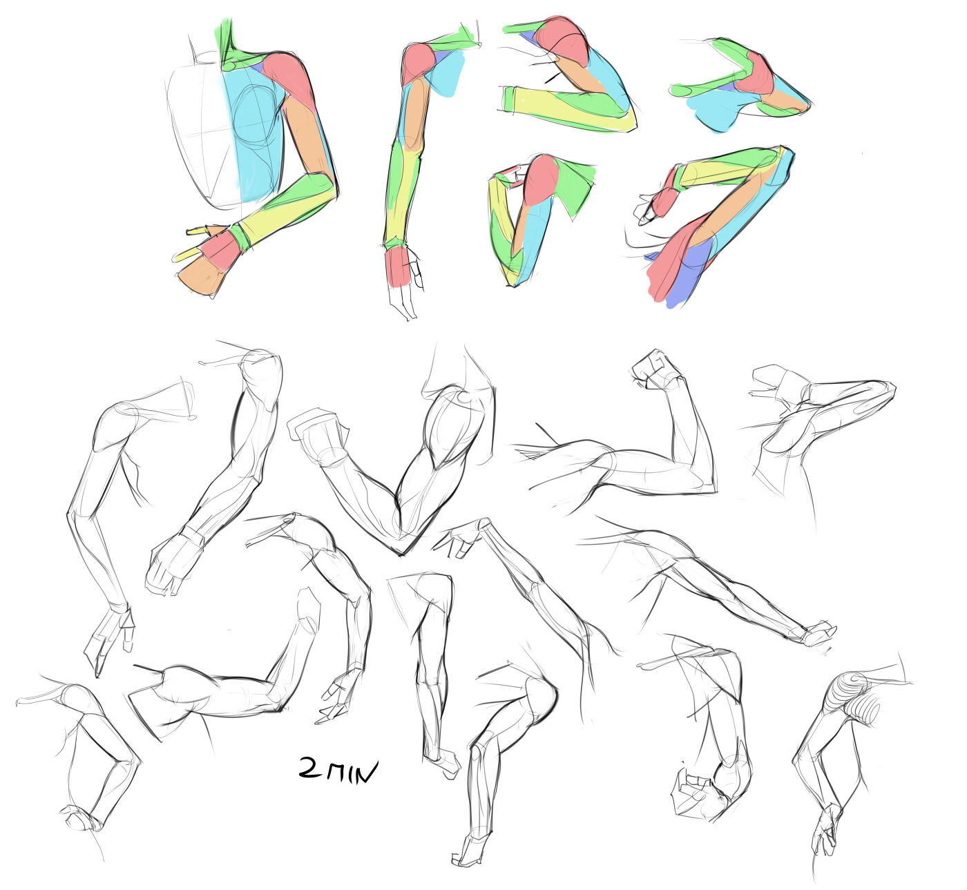 рука человека анатомия референс аниме. поза со скрещенными руками референс. пошаговое рисование руки. аниме руки. руки для рисования.