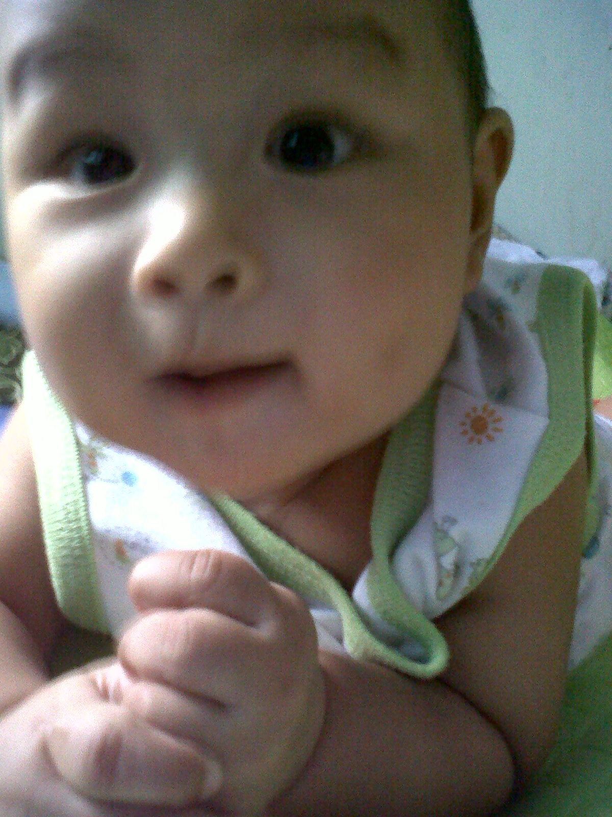 Perkembangan Bayi 7 Bulan / Memantau Perkembangan Bayi 5 Bulan, Apa