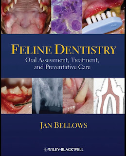Feline Dentistry Oral Assessment, Treatment, and Preventative Care 1st Edition