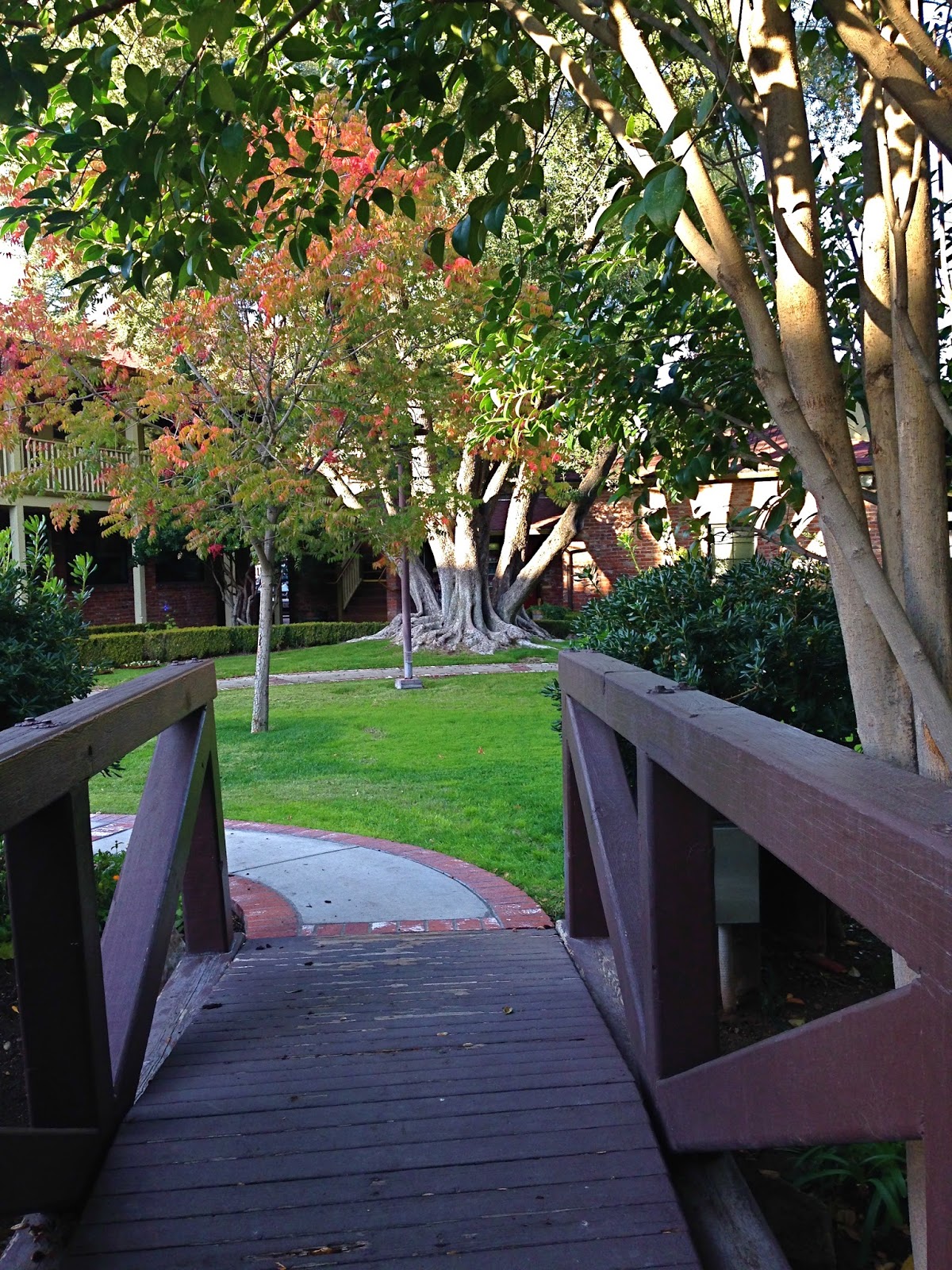 licorice for baby Knitionary