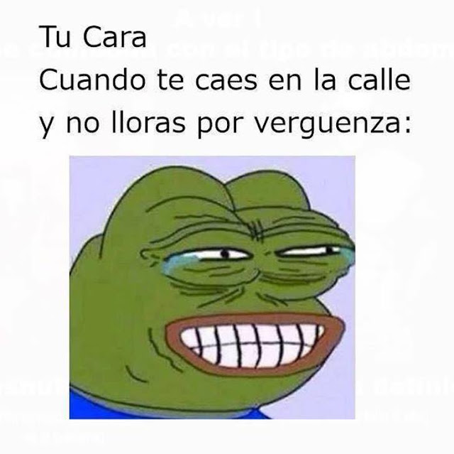 Memes que describen tu día a día