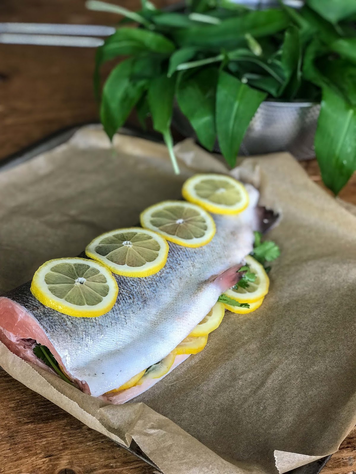 Celebrating life baked trout with wild garlic salsa verde Margot's