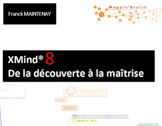 XMind 8 : de la découverte à la maîtrise