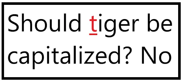 Should tiger be capitalised? No.