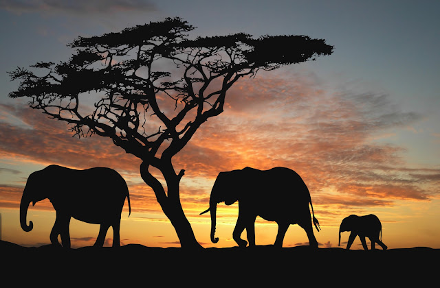 Tanzania Tanzania