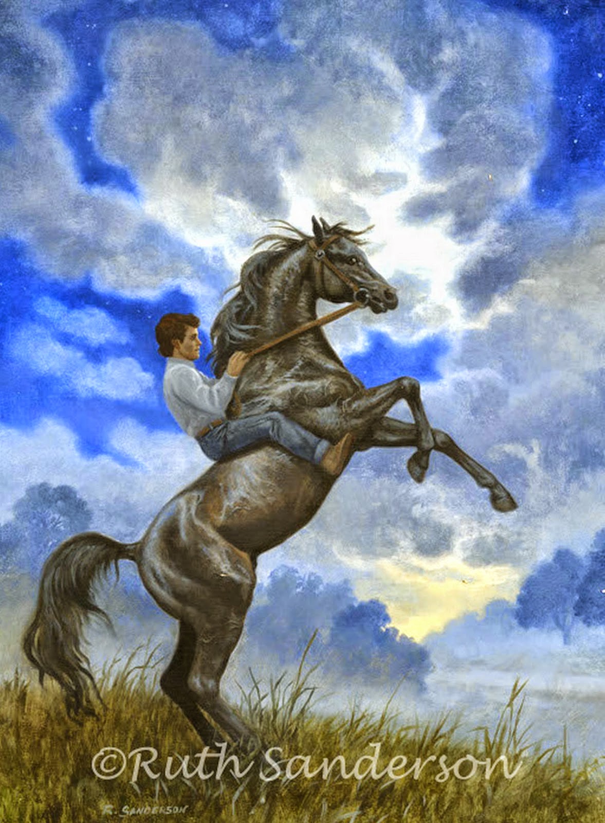 Картина всадник. Ruth Sanderson лошади. Всадник на коне. Всадник с лошадью. Всадник мчится. Картина всадник. Ruth Sanderson лошади. Всадник на коне. Всадник с лошадью. Всадник мчится.