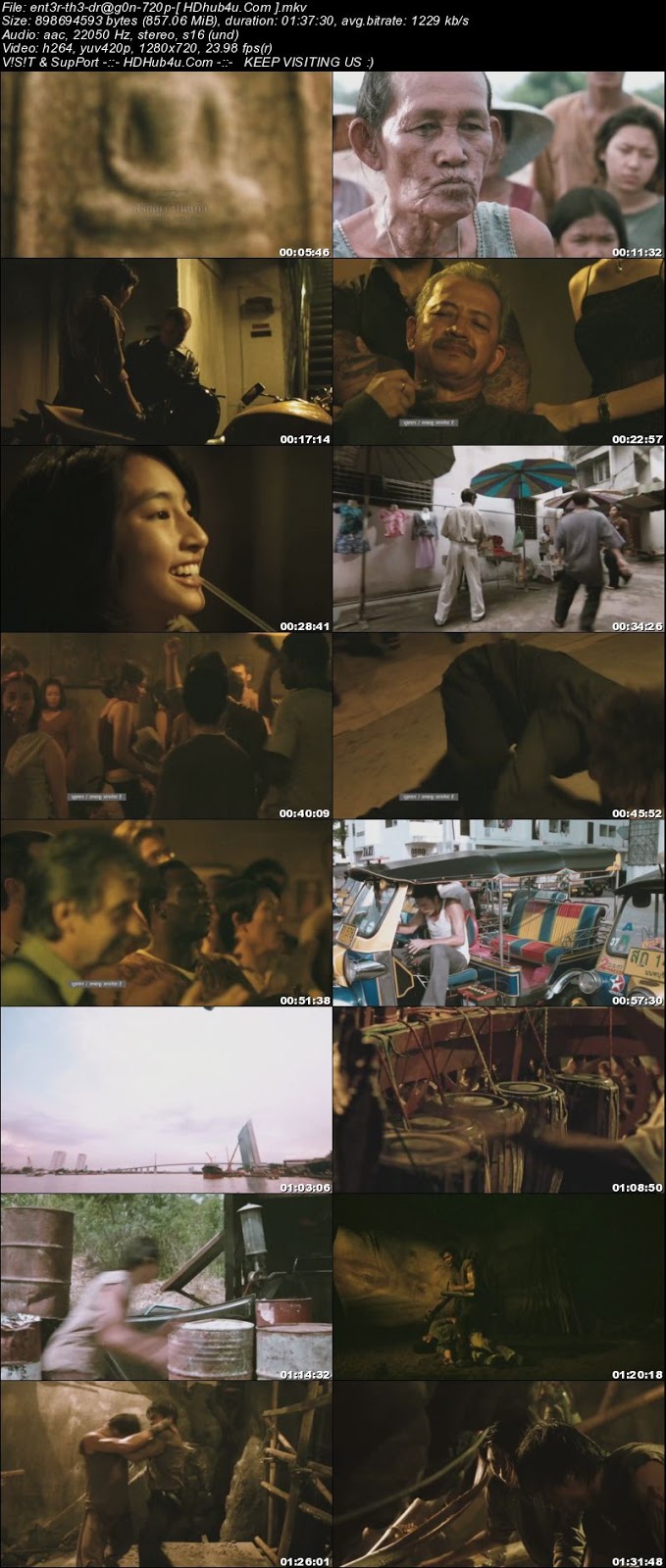 Enter The New Dragon 2005 300mb Hindi Dubbed 480p HDRip Download