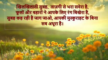 Top Best स प रभ त स ट टस म स ज ह न द म Best Good Morning Status Sms In Hindi