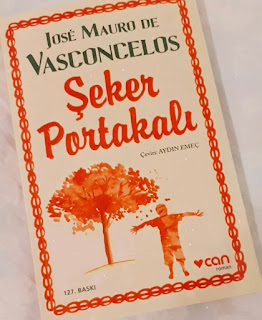 Gunesi Uyandiralim Jose Mauro De Vasconcelos Online Kadin Dergisi