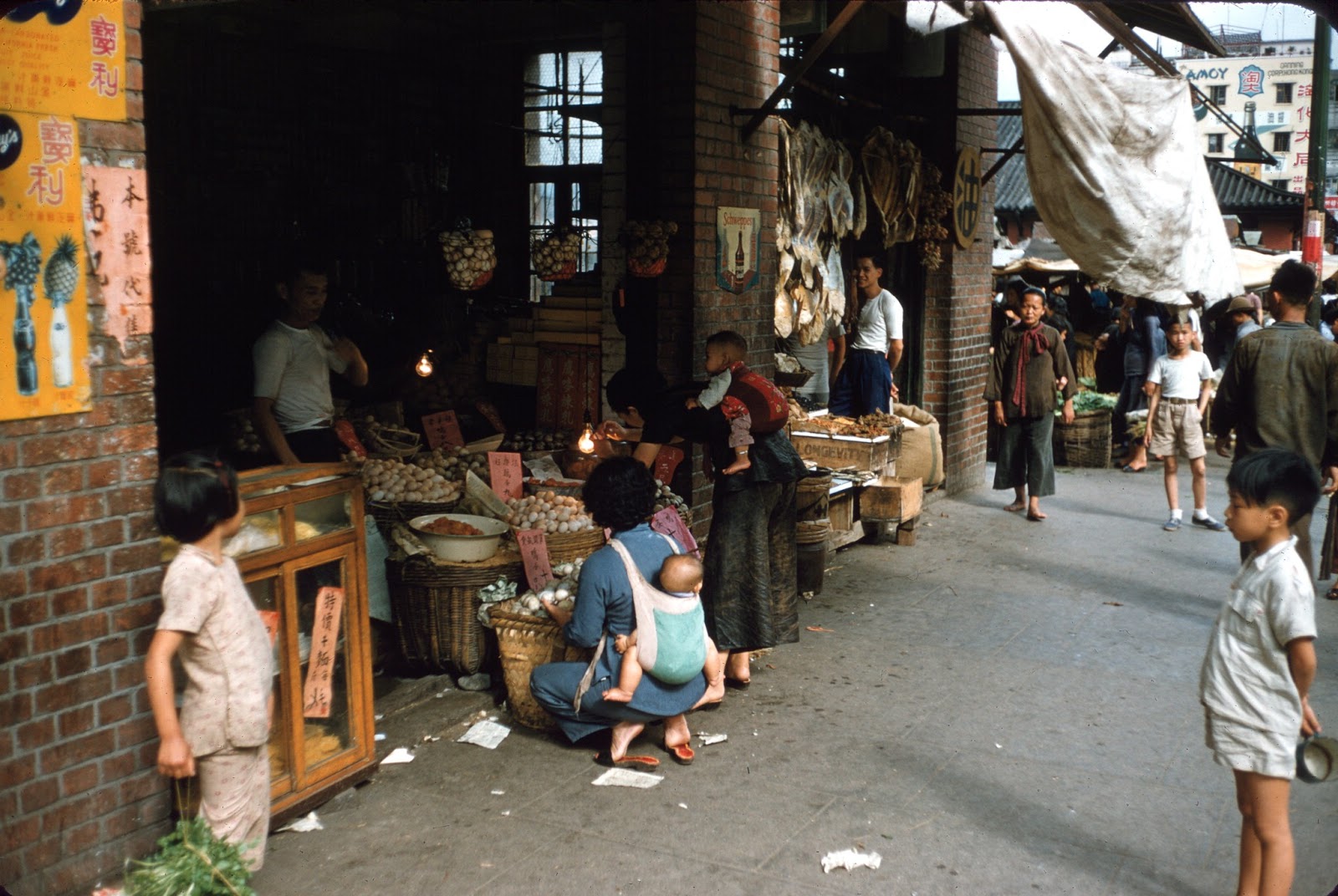 hong kong photographs 1950s