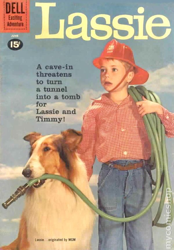 View from the Birdhouse: Dear Abby - Famous TV Dogs: Lassie