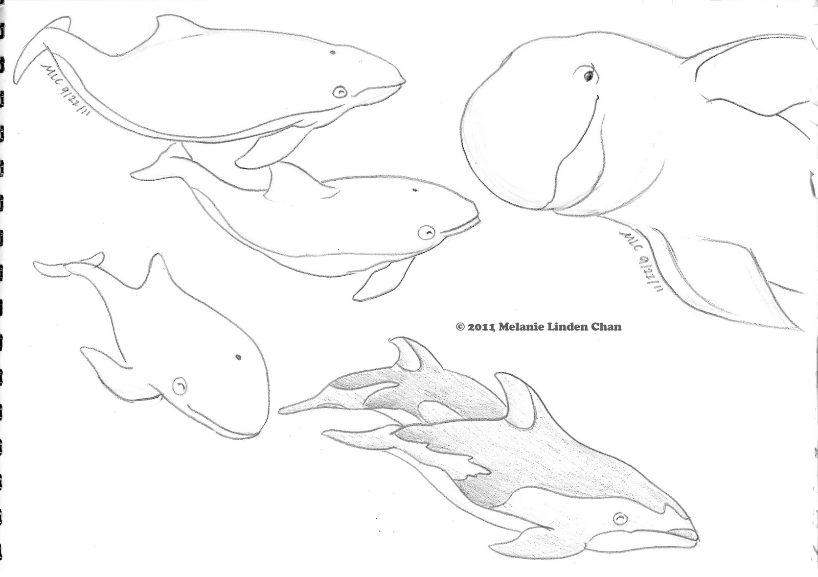 ocean habitat coloring pages free - photo #23